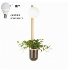 Бра с лампочкой Odeon Light Flower 4682/1WB+Lamps E14 P45