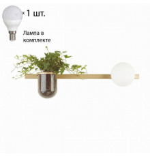 Бра с лампочкой Odeon Light Flower 4682/1WA+Lamps E14 P45