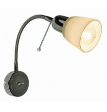 Спот Arte Lamp Lettura A7009AP-1BC