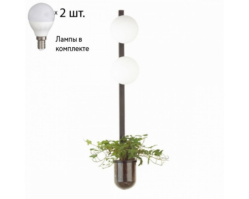 Бра с лампочками Odeon Light Flower 4681/2WA+Lamps E14 P45