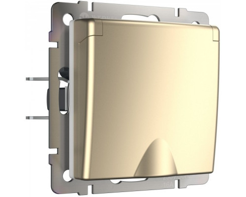 Розетка влагозащ. с зазем. с защит. крышкой и шторками (шампань) Werkel W1171211
