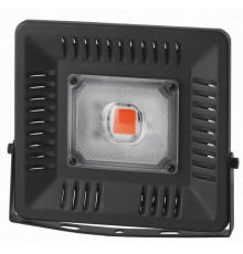 Прожектор светодиодный ЭРА 50W 1370K FITO-50W-LED