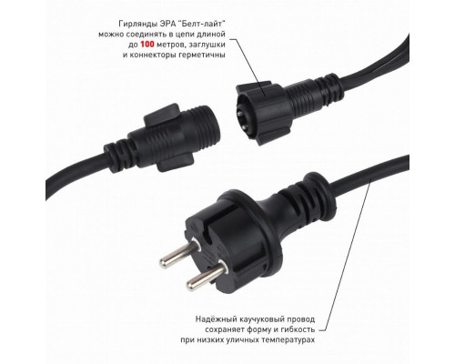 Уличная светодиодная гирлянда ЭРА Белт Лайт 220V мультиколор ERABL-MK10 Б0047955