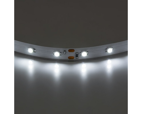 1м. Светодиодная лента белого цвета 3528, 4200К, 4,8W, 12V, 60LED/m, IP20 Lightstar 400004