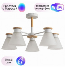 Потолочная люстра Arte Lamp Tyler с поддержкой Маруся A1031PL-5WH-М