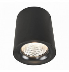 Потолочный светодиодный светильник Arte Lamp Facile A5118PL-1BK