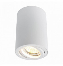 Накладной светильник Arte Lamp Sentry A1560PL-1WH