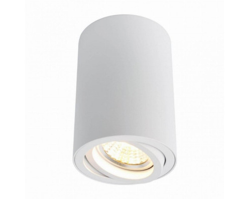 Накладной светильник Arte Lamp Sentry A1560PL-1WH