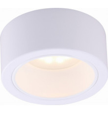 Потолочный светильник Arte Lamp Effetto A5553PL-1WH