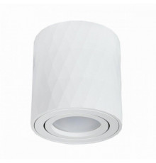 Накладной светильник Arte Lamp Fang A5559PL-1WH