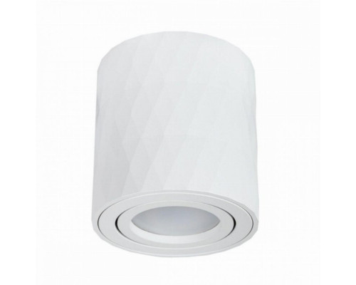 Накладной светильник Arte Lamp Fang A5559PL-1WH