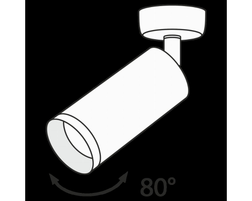 Накладной поворотный светильник Maytoni Focus C017CW-01MG