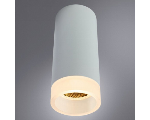 Накладной светильник Arte Lamp OGMA A5556PL-1WH