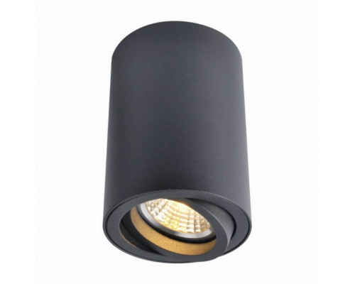 Накладной светильник Arte Lamp Sentry A1560PL-1BK