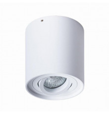 Потолочный светильник Arte Lamp Falcon A5645PL-1WH