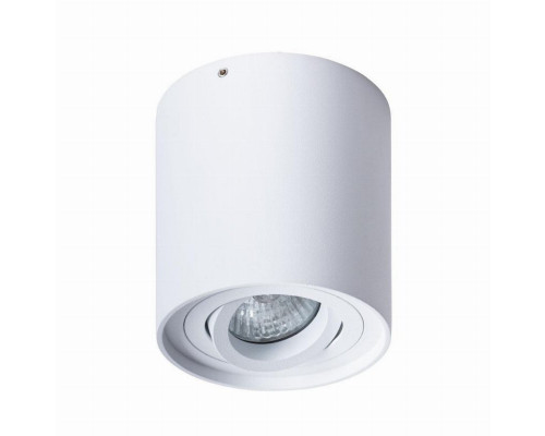 Потолочный светильник Arte Lamp Falcon A5645PL-1WH