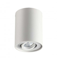 Потолочный светильник Odeon Light Pillaron 3564/1C