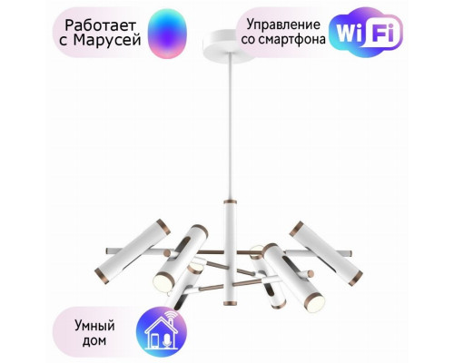 Подвесная светодиодная люстра Favourite Duplex с поддержкой Маруся 2325-12P-М