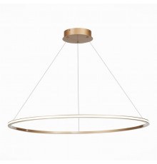 Подвесная светодиодная люстра St Luce OUT ST604.243.46