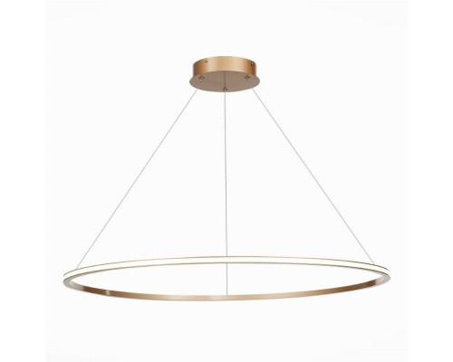 Подвесная светодиодная люстра St Luce OUT ST604.243.46