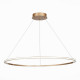 Подвесная светодиодная люстра St Luce OUT ST604.243.46