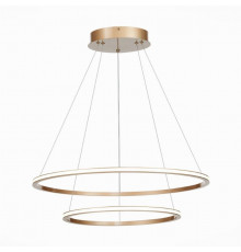 Подвесная светодиодная люстра St Luce OUT ST604.243.56