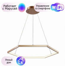 Подвесная светодиодная люстра Favourite Hexagon с поддержкой Маруся 2103-6P-М