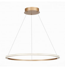 Подвесной светодиодный светильник St Luce OUT ST604.243.34