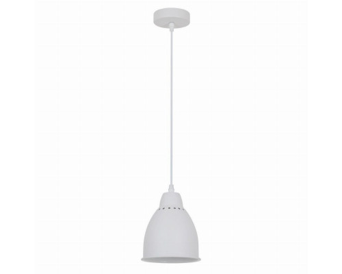 Подвесной светильник Arte Lamp Braccio A2054SP-1WH