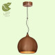 Подвесной светильник Lussole Loft GRLSN-6106-01