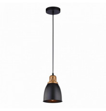 Подвесной светильник Arte Lamp Eurica A4248SP-1BK