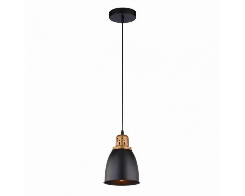 Подвесной светильник Arte Lamp Eurica A4248SP-1BK