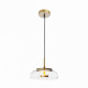 8210-P Подвесной светодиодный светильник Loft IT Disk