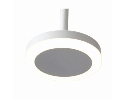 Светильник подвесной светодиодный ST-Luce Ciamella ST104.503.06