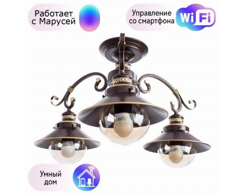 Люстра потолочная Arte Lamp 7 с поддержкой Маруся A4577PL-3CK-М