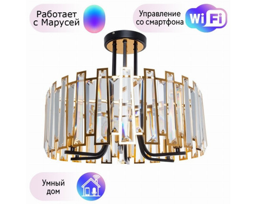 Подвесная люстра Arte Lamp Amber с поддержкой Маруся A1028PL-6BK-М