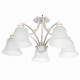 Потолочная люстра Arte lamp Emma A2713PL-5WG