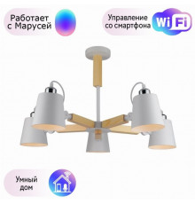 Потолочная люстра Arte Lamp с поддержкой Маруся A7141PL-5WH-М