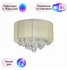 Потолочная люстра MW-Light Жаклин с поддержкой Маруся 465016304-М