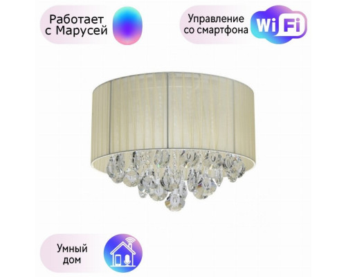 Потолочная люстра MW-Light Жаклин с поддержкой Маруся 465016304-М