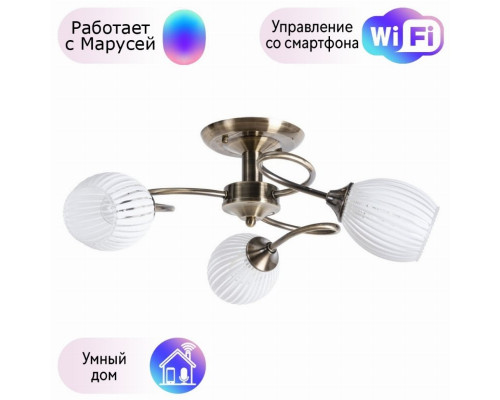 Потолочная люстра Arte Lamp Arya с поддержкой Маруся A2941PL-3AB-М