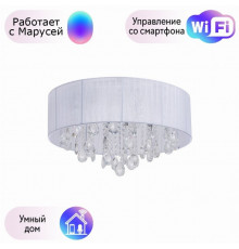 Потолочная люстра MW-Light Жаклин с поддержкой Маруся 465015709-М