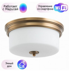 Потолочный светильник Arte Lamp с поддержкой Маруся A1735PL-3SR-М