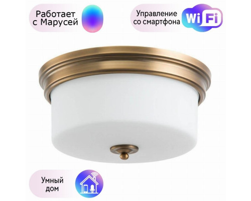 Потолочный светильник Arte Lamp с поддержкой Маруся A1735PL-3SR-М