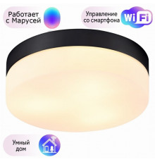 Потолочный светильник Aqua-Tablet Arte lamp с поддержкой Маруся A6047PL-3BK-М