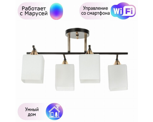 Потолочный светильник Merope Arte lamp с поддержкой Маруся A4071PL-4BK-М