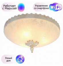 Потолочный светильник Arte Lamp с поддержкой Маруся A4541PL-3WG-М