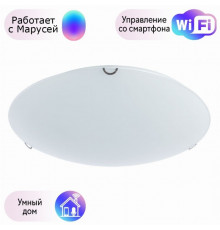 Настенно-потолочный светильник Arte Lamp Plain с поддержкой Маруся A3720PL-3CC-М