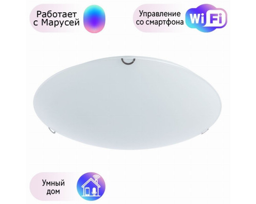 Настенно-потолочный светильник Arte Lamp Plain с поддержкой Маруся A3720PL-3CC-М