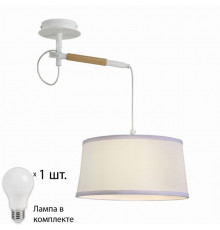 Настенно-потолочный светильник с лампочкой  F-Promo Eureka 3005-1P+Lamps А60